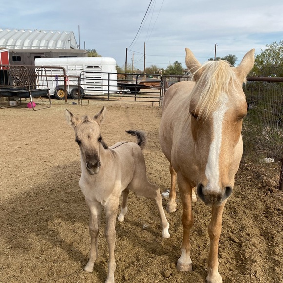 Meet your Posher, Nina - Picture 12 of 16